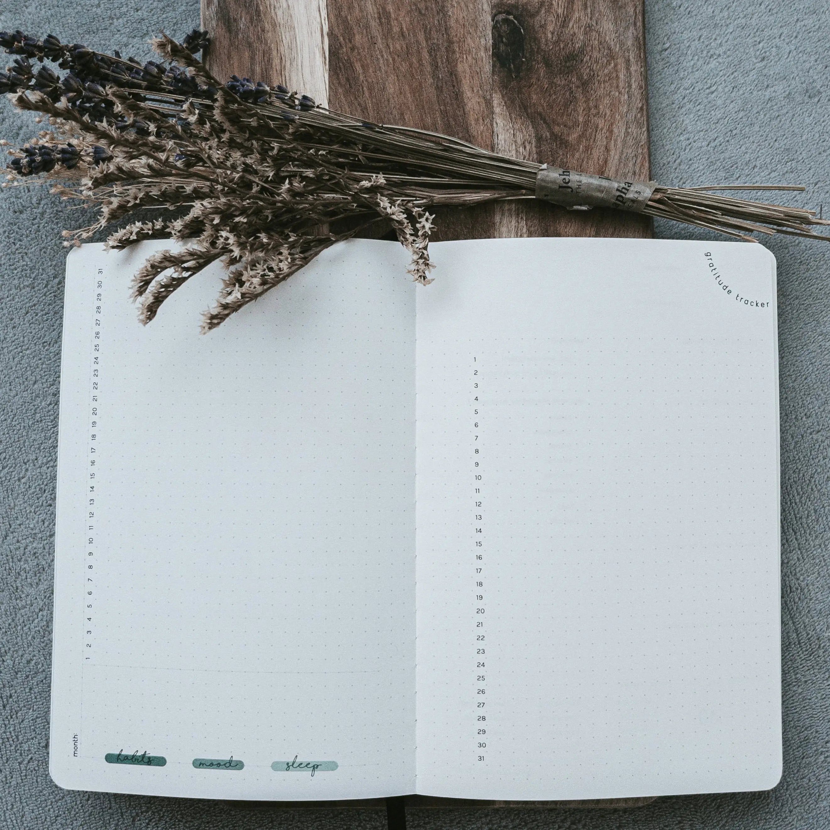 [NEW LIFE] Thrive Journal (Pacific Teal) The Project J